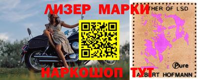 прущие грибы Будённовск