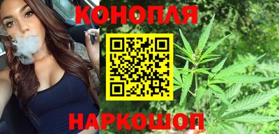 прущие грибы Будённовск