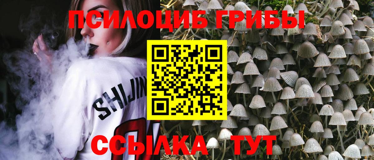Псилоцибиновые грибы GOLDEN TEACHER  Вход с VPN  Майский 